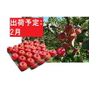 【ふるさと納税】【訳あり】 りんご 約10kg サンふじ 青...
