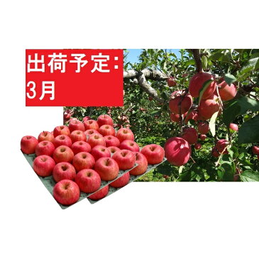【ふるさと納税】【訳あり】 りんご 約10kg サンふじ 青森産 【3月発送】 【果物類・林檎・りんご・リンゴ・くだもの・約10kg・サンふじ・訳あり】 お届け:2021年3月1日〜2021年3月20日