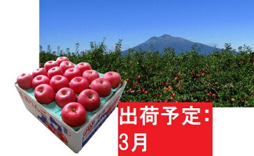 【ふるさと納税】りんご 約10kg サンふじ 青森産 糖度 13度以上 【3月発送】 贈答用 特選〜特秀 【果物類・林檎・りんご・リンゴ・くだもの】 お届け:2021年3月1日〜2021年3月20日