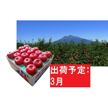 【ふるさと納税】りんご 約10kg サンふじ 青森産 糖度 13度以上 【3月発送】 贈答用 特選〜特秀 【果物類・林檎・りんご・リンゴ・くだもの】 お届け:2021年3月1日〜2021年3月20日