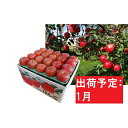 【ふるさと納税】1月 青森りんご 家庭用サンふじ約10kg【...