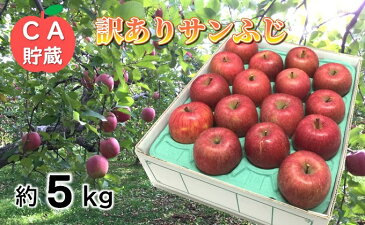 【ふるさと納税】3〜4月 訳ありサンふじ約5kg 【青森りんご・CA貯蔵・クール便】 【果物類・林檎・りんご・リンゴ・サンふじ・約5kg】 お届け:2021年3月20日〜2021年4月28日