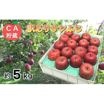 【ふるさと納税】3〜4月 訳ありサンふじ約5kg 【青森りんご・CA貯蔵・クール便】 【果物類・林檎・りんご・リンゴ・サンふじ・約5kg】 お届け:2021年3月20日〜2021年4月28日