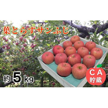 【ふるさと納税】3〜4月 葉とらずりんごサンふじ約5kg 【青森りんご・CA貯蔵・クール便】 【果物類・林檎・りんご・リンゴ・サンふじ・約5kg】 お届け:2021年3月20日〜2021年4月28日