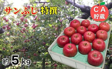 【ふるさと納税】3〜4月 サンふじ特選りんご約5kg 【青森りんご・CA貯蔵・クール便】 【果物類・林檎・りんご・リンゴ・サンふじ・約5kg】 お届け:2021年3月20日〜2021年4月28日