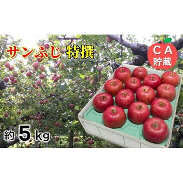 【ふるさと納税】3〜4月 サンふじ特選りんご約5kg 【青森りんご・CA貯蔵・クール便】 【果物類・林檎・りんご・リンゴ・サンふじ・約5kg】 お届け:2021年3月20日〜2021年4月28日