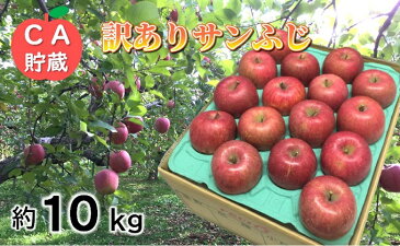 【ふるさと納税】3〜4月 訳ありサンふじ約10kg 【青森りんご・CA貯蔵・クール便】 【果物類・林檎・りんご・リンゴ・サンふじ・約10kg・訳あり】 お届け:2021年3月20日〜2021年4月28日