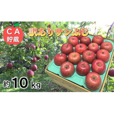 【ふるさと納税】3〜4月 訳ありサンふじ約10kg 【青森りんご・CA貯蔵・クール便】 【果物類・林檎・りんご・リンゴ・サンふじ・約10kg・訳あり】 お届け:2021年3月20日〜2021年4月28日