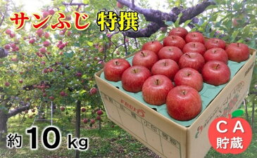 【ふるさと納税】3〜4月 サンふじ特選約10kg 28〜40玉程度 【青森りんご・CA貯蔵・クール便】 【果物類・林檎・りんご・リンゴ・サンふじ・約10kg】 お届け:2021年3月20日〜2021年4月28日