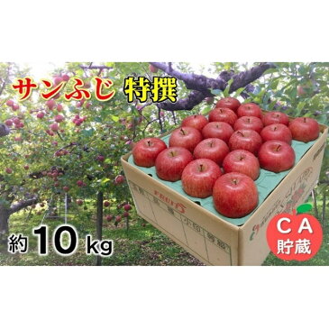 【ふるさと納税】3〜4月 サンふじ特選約10kg 28〜40玉程度 【青森りんご・CA貯蔵・クール便】 【果物類・林檎・りんご・リンゴ・サンふじ・約10kg】 お届け:2021年3月20日〜2021年4月28日