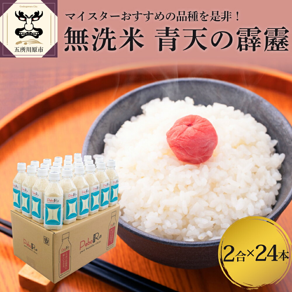  令和5年産 米 無洗米 青天の霹靂 2合 (300g) ×24本 8年連続 特A 取得品種 青森 晴天の霹靂