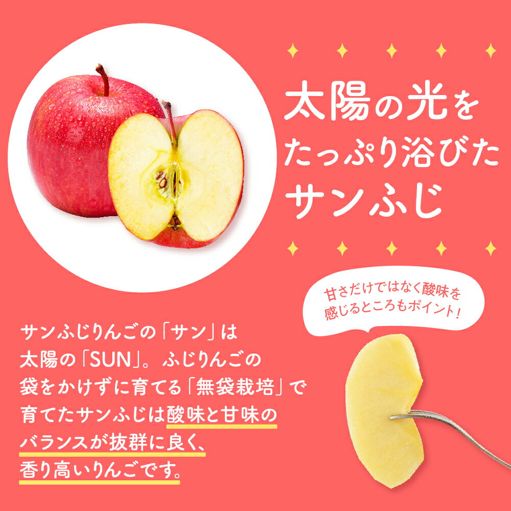 【ふるさと納税】《 先行予約 》【 訳あり 】 サンふじ (内容量が選べる 5kg / 10kg) (配送時期が選べる 12月～3月) / 青森産 りんご 林檎 アップル 不揃い 規格外 常温保存 秋 旬 果物 くだもの フルーツ 青森県 五所川原市