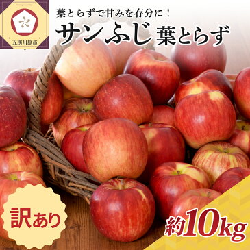 【ふるさと納税】【選べる配送時期】 訳あり りんご 約10kg サンふじ 葉とらず 青森産