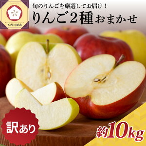 【ふるさと納税】【発送時期が選べる】【訳あり】 りんご 約10kg 青森産 品種おまかせ2種以上