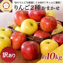 【ふるさと納税】※選べる配送時期※ 訳あり りんご 10kg サンふじ 確約 青森 品種おまかせ2種以上 詰め合わせ 【 林檎 リンゴ 送料無料 訳アリ 】