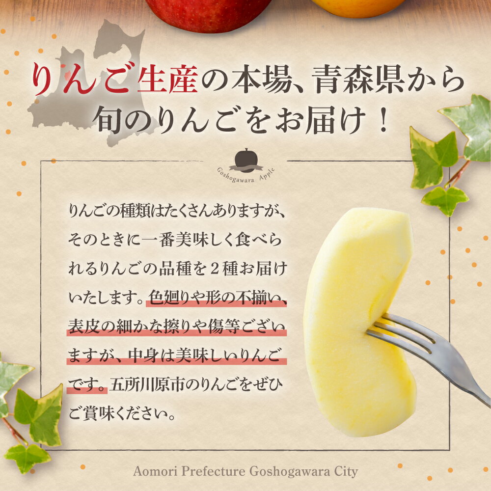 【ふるさと納税】【選べる配送時期】【訳あり】りんご 約10kg サンふじ確約 青森産 品種おまかせ2種以上