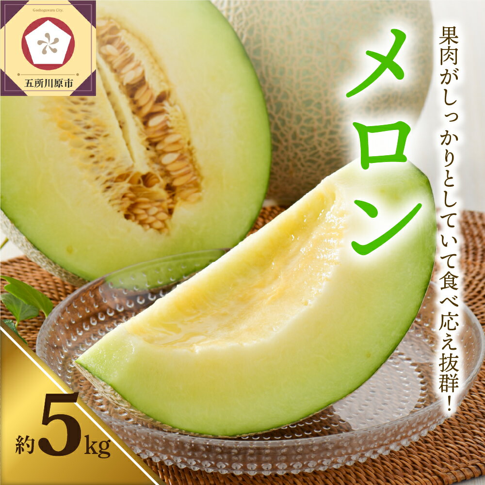 【ふるさと納税】【2023年先行予約】【発送時期が選べる】メロン 5kg程度（青肉4～6玉）津軽産 果物 くだもの フルーツ めろん 品種 おまかせ 五所川原 青森 東北 ご当地 夏 旬 お取り寄せ 送料無料のサムネイル