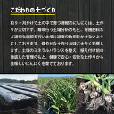 青森県五所川原市の画像3