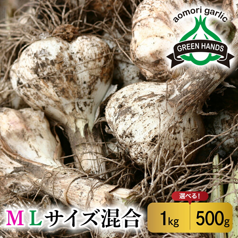 [2025年6月下旬発送開始]掘りたて 生 にんにく 青森県産 ML サイズ混合1kg(土つき)[ ガーリック ニンニク 大蒜 五所川原 生にんにく 生ニンニク ] 先行予約