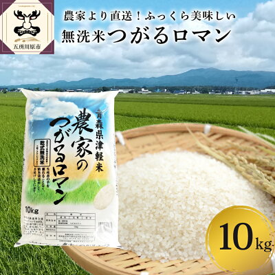 【ふるさと納税】 無洗米 10kg ( 精米 ) つがるロマン【乾式無洗米】こめ