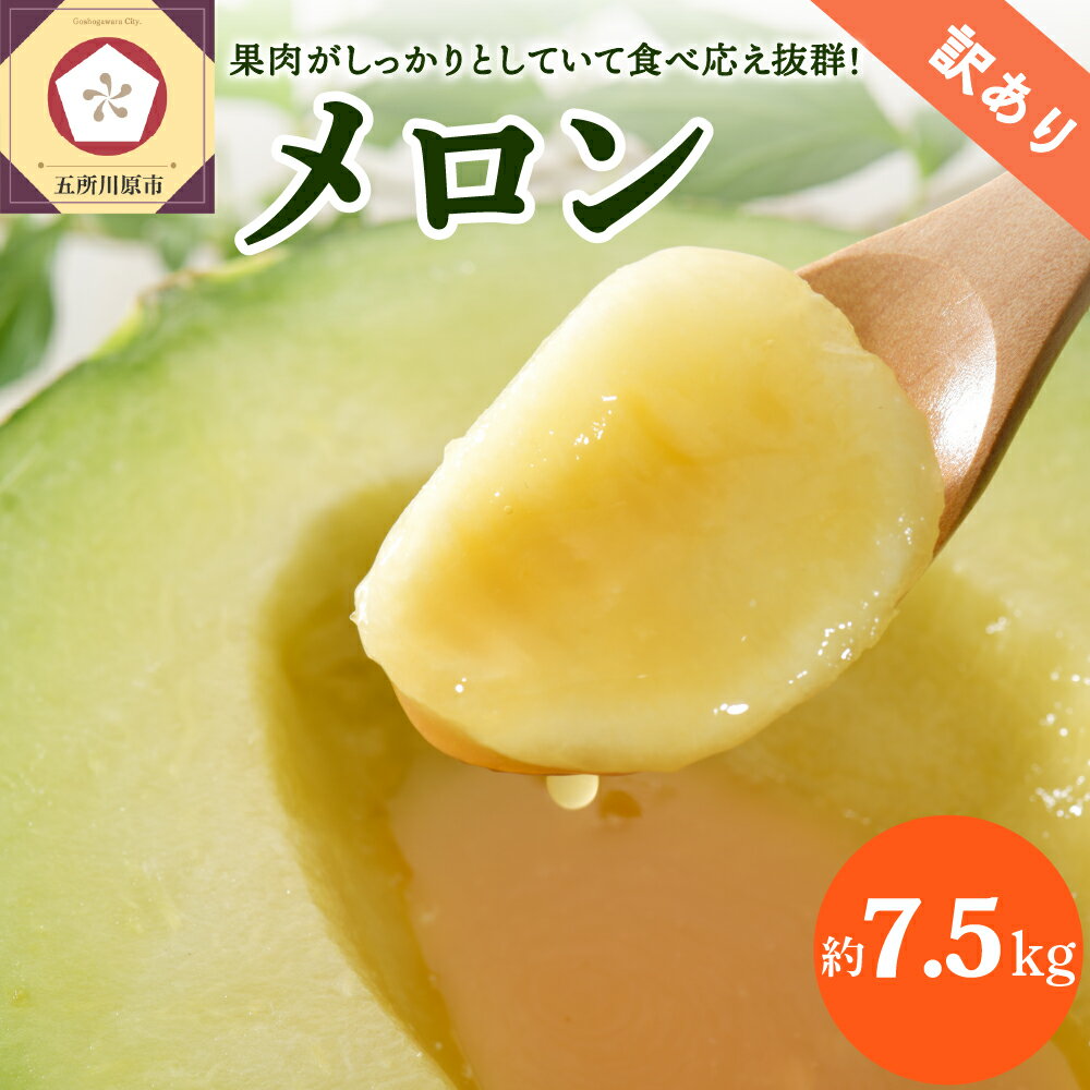 【ふるさと納税】 【先行予約】 訳あり 不揃い メロン 約7.5kg 青肉4～8玉 ふるさと納税 7月 8月 9月 | 果物 くだもの フルーツ 青肉 五所川原 青森 東北 ご当地 特産 お取り寄せ 送料無料 青森産 ワケアリ わけあり 【発送時期が選べる】のサムネイル