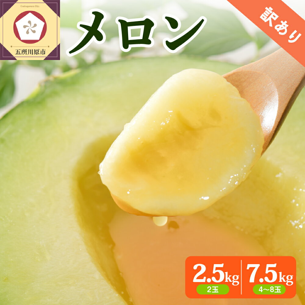 [2025年先行予約][選べる配送時期][訳あり]メロン 選べる: 約2.5kg(2玉) / 約7.5kg(4〜8玉) 選べる配送時期フルーツ 果物 デザート おまかせ メロン めろん 青肉 家庭用 不揃い 東北 青森県 五所川原市