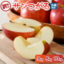 【ふるさと納税】訳あり りんご 3kg 5kg 10kg 9月 サンつがる 青森【2025年 リンゴ 林檎 果物 クール便】秋 旬