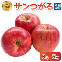 【ふるさと納税】りんご 9月 3kg 5kg サンつがる 特選 青森 クール便 フルーツ 果物【2025年】秋 旬