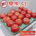 【ふるさと納税】《 2025年10月発送開始》【 訳あり 】 早生ふじ 内容量が選べる 3kg / 5kg / 10kg / りんご 林檎 アップル 規格外 不揃い 果物 くだもの フルーツ 常温保存 秋 旬 青森県 五所川原市