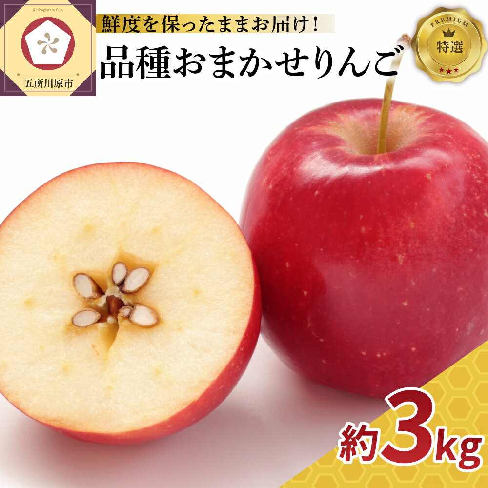 【ふるさと納税】【発送時期が選べる】 特撰 丸かじり 青森 りんご 3kg 程度 品種 おまかせ 1種 スマートフレッシュ 貯蔵 または CA貯蔵 青森県 津軽地方 五所川原市産 林檎 人気 果物 フルーツのサムネイル