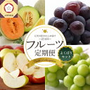 【ふるさと納税】【 2025年7月 発送開始 】フルーツ 定期便 5回 よくばり セット 【 メロン シャインマスカット りんご ぶどう 送料無料 定期 フルー...