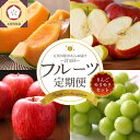【ふるさと納税】【 2025年 8月発送開始】フルーツ 定期便 5回 りんごモリモリ セット 【 メロン シャインマスカット りんご ぶどう 送料無料 定期 フ...