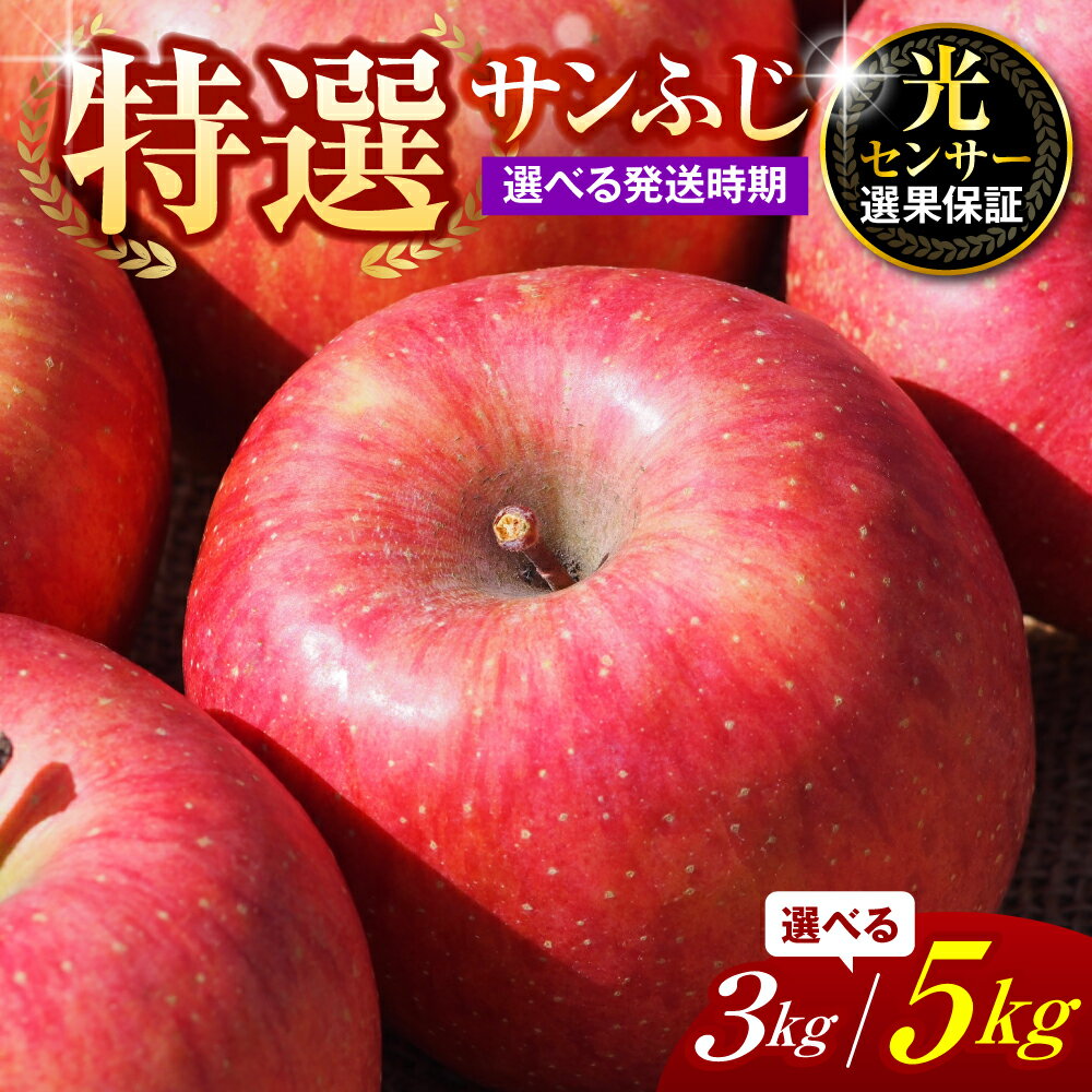 【ふるさと納税】【選べる配送時期】【 特選 】 りんご サンふじ ( 選べる 3kg / 5kg )【 贈答用 】 3キロ 5キロ 令和7年産 フルーツ 果物 くだもの 期間限定 産地直産 ご当地 お取り寄せグルメ 大容量 送料無料 国産 東北 青森県 五所川原市(4)