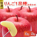 【ふるさと納税】《特選》 りんご 1品種おまかせ 3kg または 5kg ( 配送時期が選べる ) 青森フルーツ 果物 くだもの 林檎 3キロ 5キロ 送料無料 贈り物 ギフト 秋 旬 常温保存 青森県 五所川原市