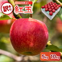 【ふるさと納税】【 訳あり 】 紅玉 ( 内容量が選べる : 5kg 10kg / 配送時期が選べる : 10月 11月 12月 ) / 不揃い 規格外 りんご...