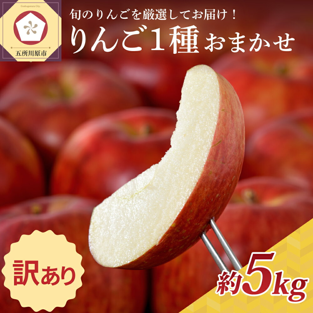 【ふるさと納税】 りんご 【 訳あり 】 5kg 1品種おまかせ ( 配送時期が選べる 10月〜3月 )/ 不揃い 規格外 傷 果物 くだもの フルーツ 林檎 ...