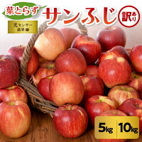 【ふるさと納税】★レビュー高評価★【 訳あり 】葉とらず サンふじ ( 内容量が選べる 5kg 10kg / 配送時期が選べる 11月~3月 ) | 無袋 年内配送 年内発送 わけあり 規格外 不揃い 傷 リンゴ 林檎 ふじ 果物 フルーツ 秋 旬 常温保存 青森県 五所川原市