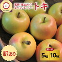 【ふるさと納税】りんご【 訳あり 】 トキ 5kg または 10kg ( 配送時期が選べる 10月 11月 12月 )/ 青森産 黄色い リンゴ 林檎 アップル...
