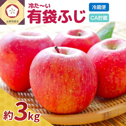 【発送時期が選べる】CA貯蔵【贈答用】冷た～い 有袋ふじ 青森産 約3kg クール便【 有袋栽培 CA貯蔵 クール便 果物類 林檎 リンゴ ふじりんご フルーツ 果物 送料無料 青森 五所川原 】