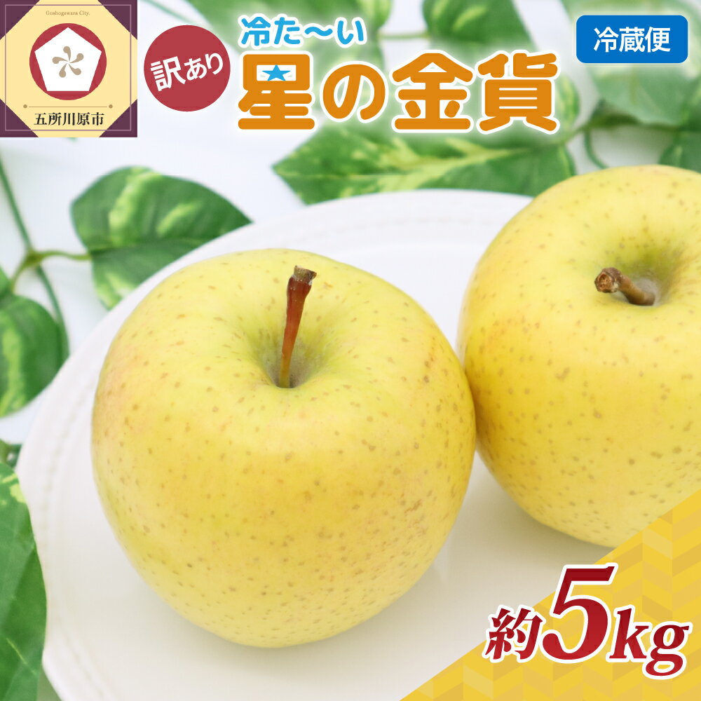 【ふるさと納税】【5月・6月発送】りんご 訳あり 星の金貨 5kg ｜ 青森県 津軽地方 五所川原市産 リンゴ 果物 フルーツ 5キロ 親は「ふじ 」のサムネイル