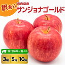 【ふるさと納税】りんご【 訳あり 】 サンジョナゴールド 3kg 5kg 10kg ( 配送時期が選べる 10月〜3月)/ リンゴ 林檎 アップル 不揃い 規格...