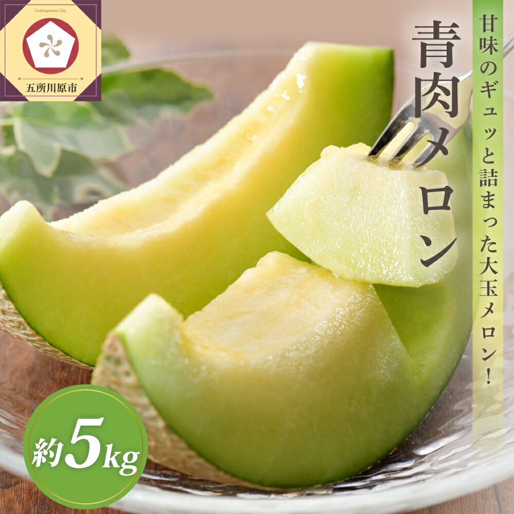 【ふるさと納税】【2025年先行予約】 8月 津軽産 メロン 青肉 約5kg（3～6玉） 家庭用 【発送時期が選べる】 ふるさと納税 メロン 五所..