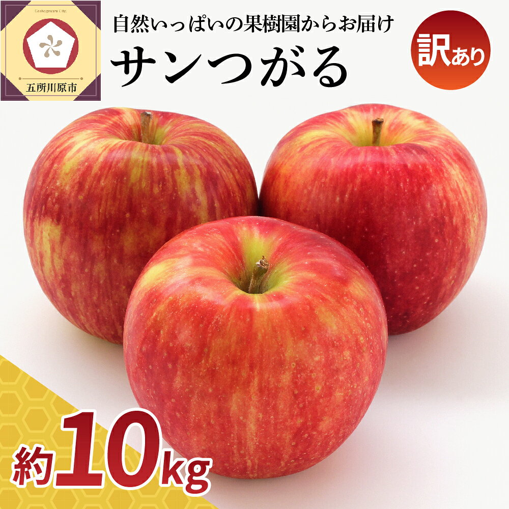 【ふるさと納税】訳あり りんご 約 10kg 青森 【選べる配送時期】 9月 サンつがる 農家直送 クール便