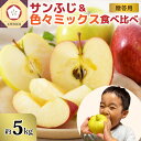 【ふるさと納税】 りんご 約 5kg 青森 津軽から 完熟 サンふじ 色々ミックス 贈答 用 / リンゴ 林檎 さんふじ ふじ 詰め合わせ おまかせ 食べ比べ 5キロ 果物 フルーツ 旬 ギフト 贈り物 贈答 送料無料 お取り寄せ 秋 旬 青森県 五所川原市