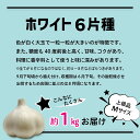 【ふるさと納税】 にんにく 青森（上級品） M サイズ 1kg ｜ ホワイト6片種 五所川原 高品質 大蒜 ニンニク ガーリック 国産 薬味 スタミナ 野菜 おすすめ 送料無料 野菜 健康食品 ふるさと納税 上級 贈答 にんにく 醤油漬けにも♪ 3