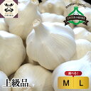 【ふるさと納税】上級品 にんにく 青森県産 ( サイズが選べる : M L ) / ホワイト6片種 五所川原 高品質 大蒜 ニンニク ガーリック 国産 薬味 ス...