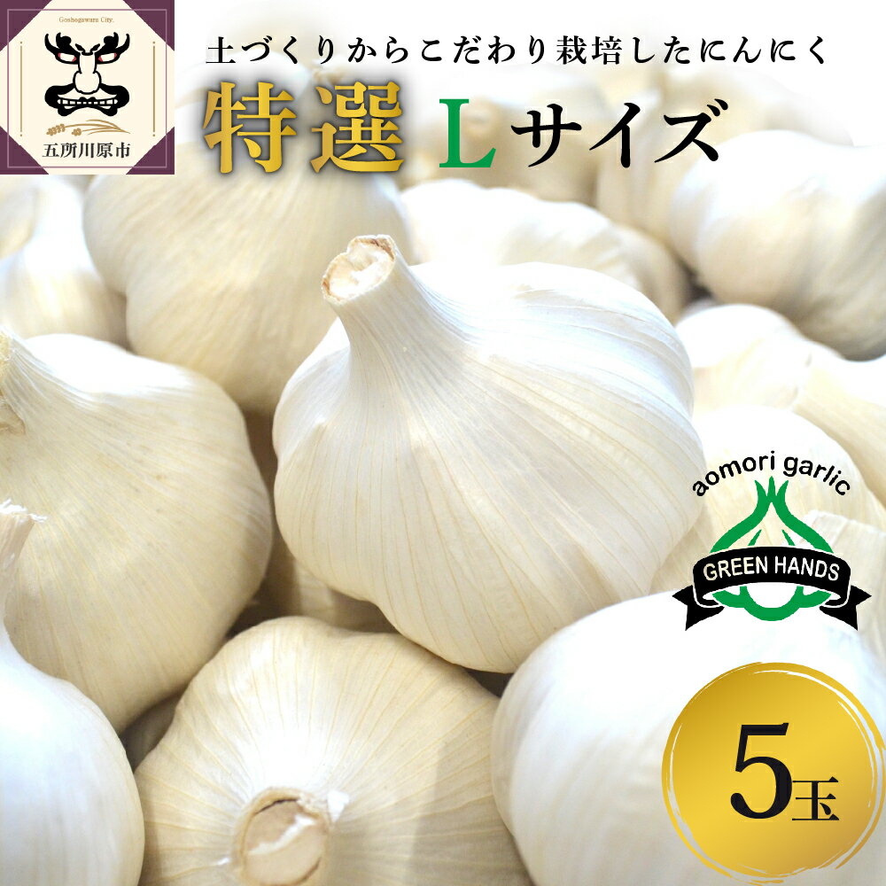 [先行受付][8月下旬より順次発送][特選]にんにく 5玉 Lサイズ / 青森 ホワイト6片種 五所川原 高品質 大蒜 ニンニク ガーリック 国産 薬味 スタミナ 野菜 おすすめ 送料無料 野菜 ふるさと納税 贈答 常温保存 10000 お試し 青森県 五所川原市