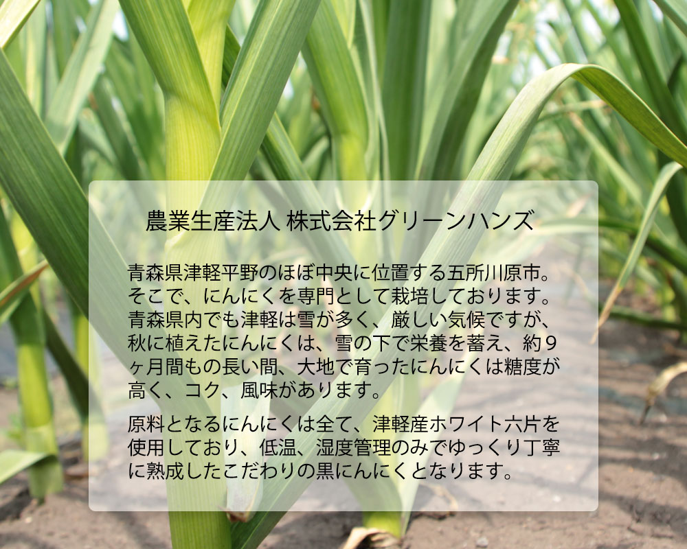 【ふるさと納税】【 定期便 3ヶ月 】【 訳あり 】 青森 熟成 黒にんにく バラ 500g 国産 黒ニンニク ニンニク にんにく 野菜 薬味 青森県 五所川原 五所川原市 定期