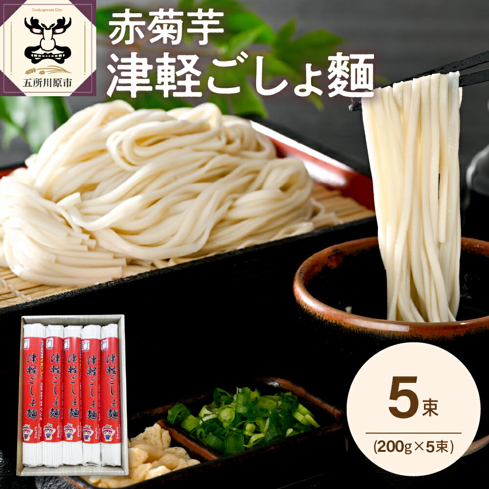 うどん 乾麺 200g×5束 2人前×5 赤 菊芋 もちもち 青森 五所川原 [ 菊芋うどん キクイモ ウドン きくいも イヌリン 10食分 10人前 1000g ]