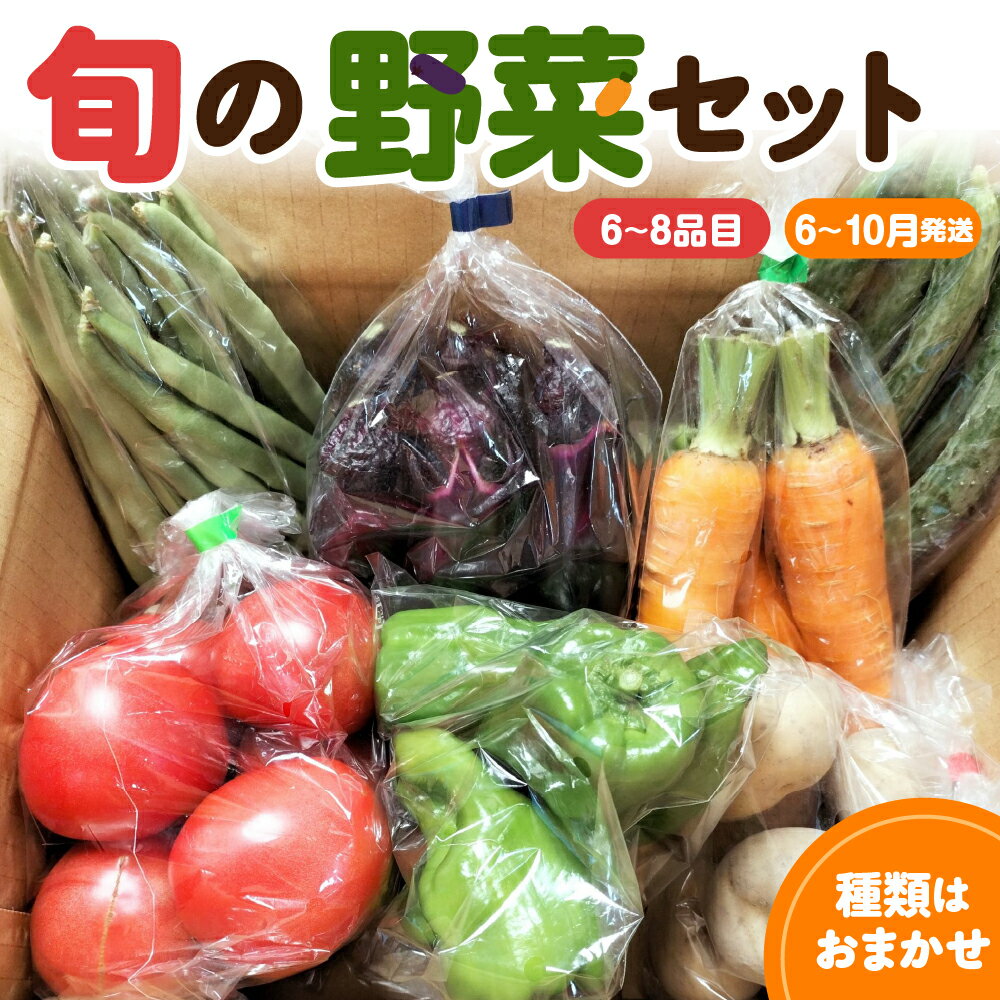 旬の野菜セット 「産直メロス」[6月以降順次発送] 野菜セット 詰め合わせ 詰合せ セット 国産 旬 おまかせ お楽しみ 野菜 直送 詰合 送料無料 青森 五所川原